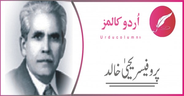 پروفیسر یحییٰ خالد - پولن الرجی میں شدت