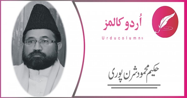 کاکڑحکومت کا''عبوری مینڈیٹ'' 